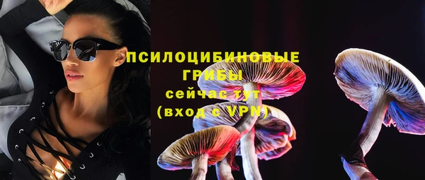 бутират Вяземский