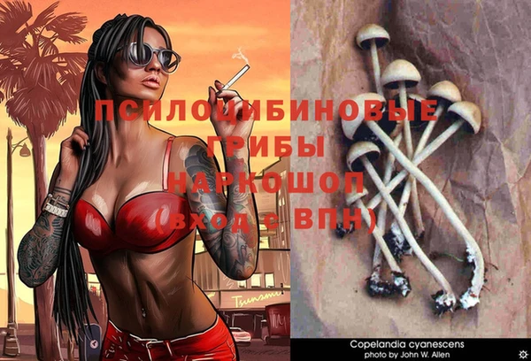 прущий лед Вязьма