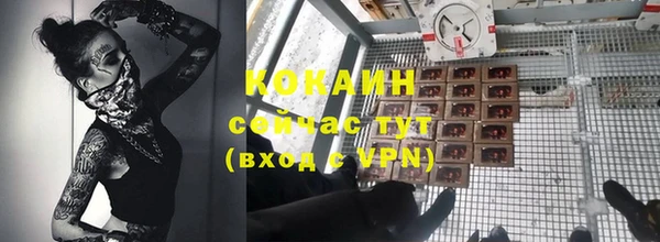 бошки Сясьстрой